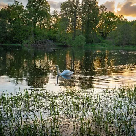 Castle Oaks House מלון Castleconnell