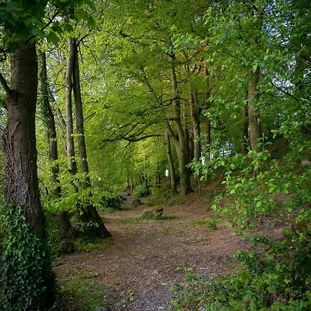 Castle Oaks House 4*