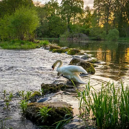 Castle Oaks House Otel 4*