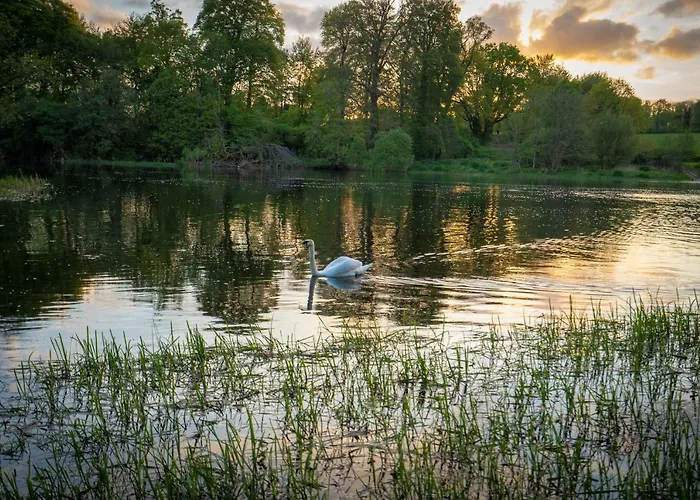 Castle Oaks House Hotel Castleconnell