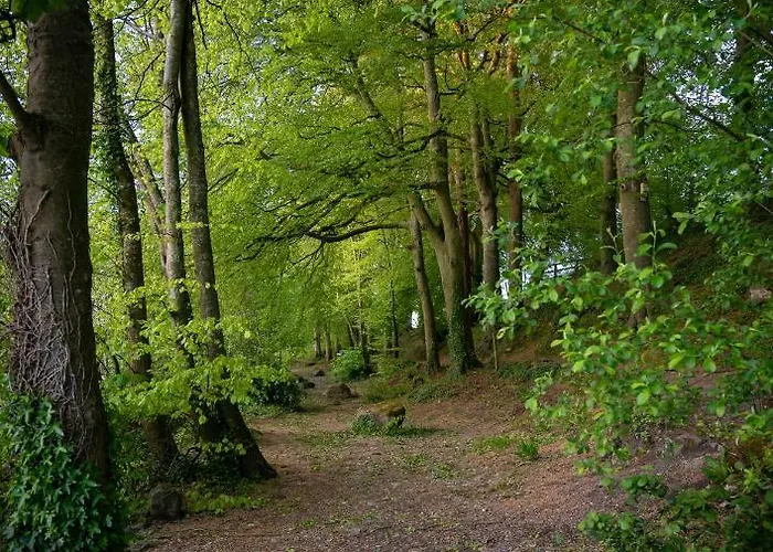 Castle Oaks House 4*